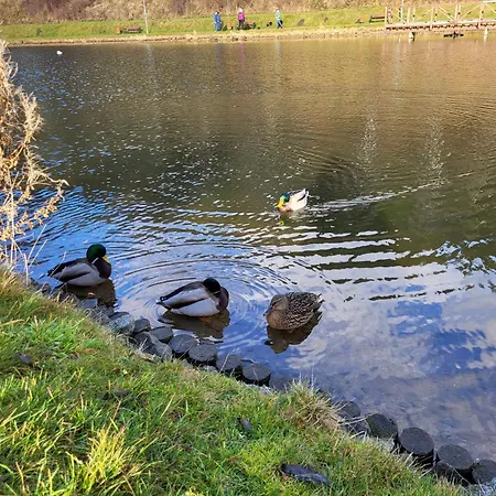 Апартаменты Apartament Dominik Глушица