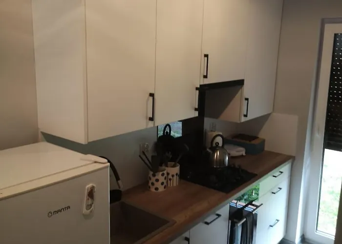 Apartament Dominik 아파트 그우시차