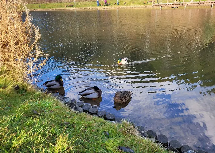 아파트 Apartament Dominik 그우시차