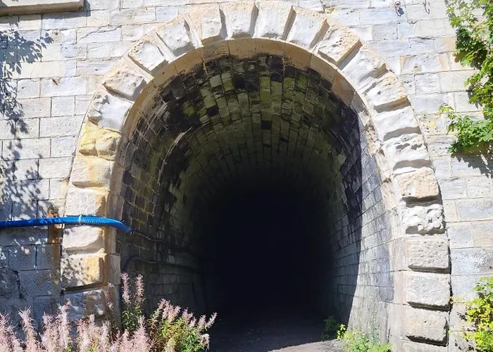 Apartament Dominik *